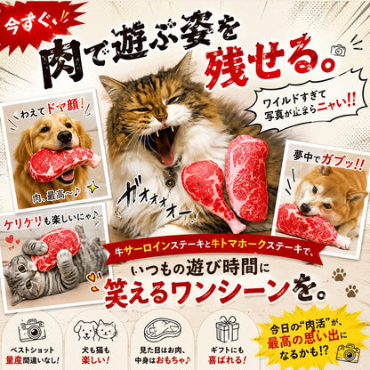 ステーキを咥えてドヤ顔の犬、ガオーと威嚇するように咥える猫、ケリケリして遊ぶ猫、夢中でガブッと噛む犬。肉で遊ぶ姿を写真に残せると訴求するシーン集