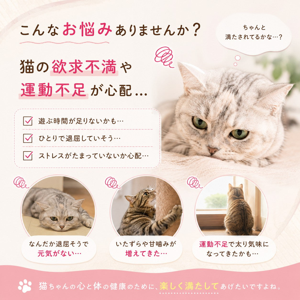 猫の欲求不満や運動不足の悩みを提起。退屈そう、いたずら・甘噛みが増えた、運動不足で太り気味という3つのお悩み例を紹介