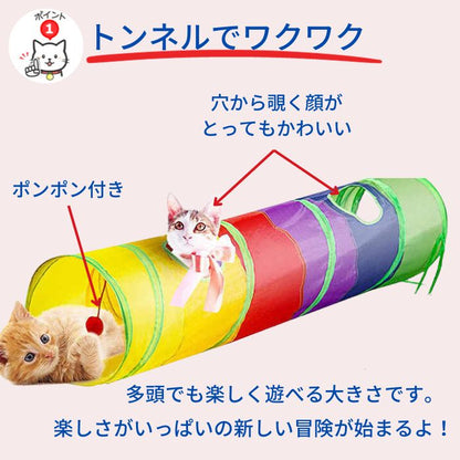 「トンネルでワクワク」の見出し。穴から覗く子猫の顔とポンポン付きの様子を矢印で紹介し、多頭でも遊べる大きさと説明