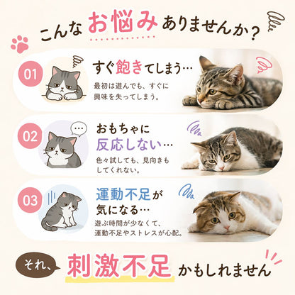 猫の悩みを提起する導入カット。「すぐ飽きてしまう」「おもちゃに反応しない」「運動不足が気になる」の3つの悩みを猫の写真とイラストで示し、原因は刺激不足と結論づける