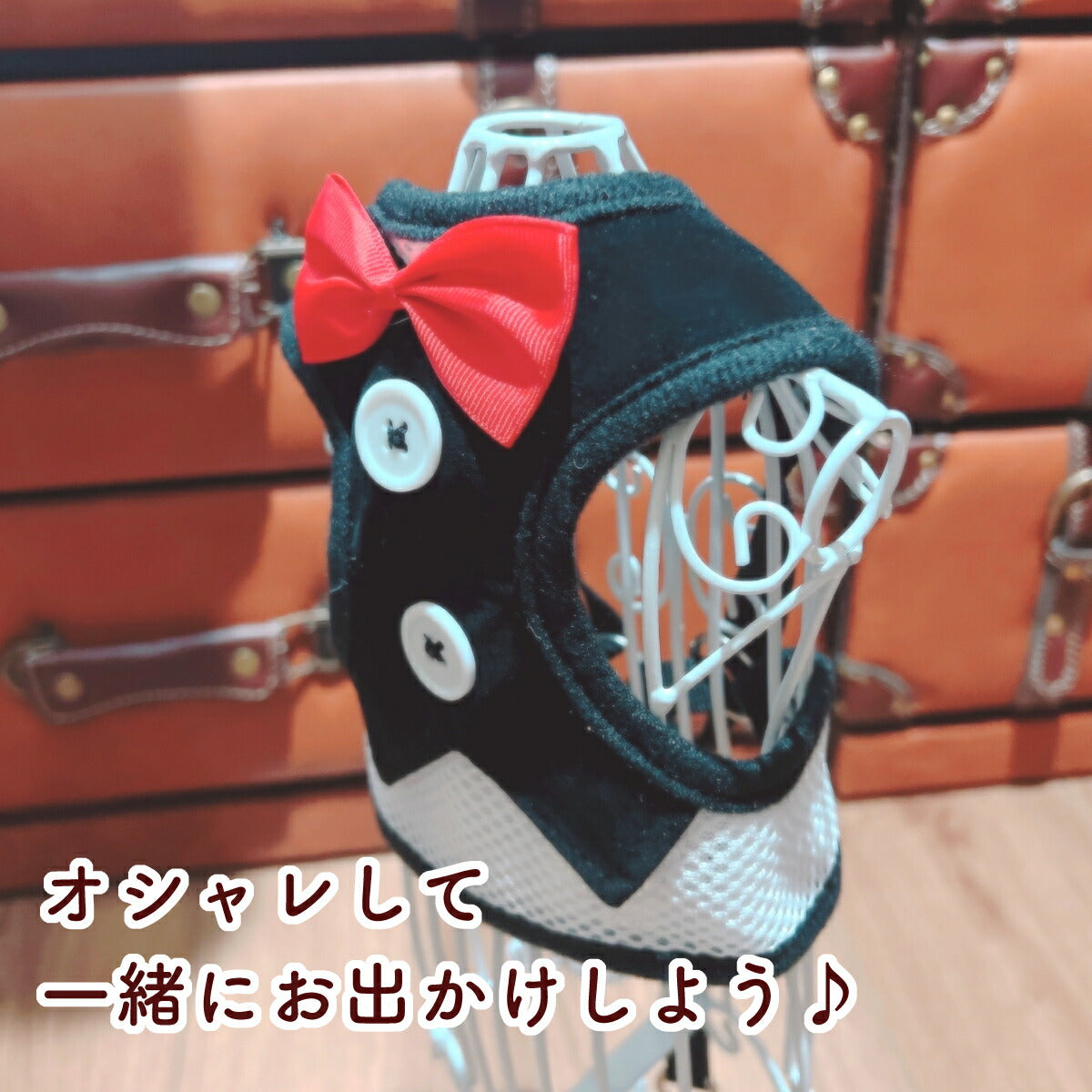 黒ベロア地に赤い蝶ネクタイと白ボタンを付けたタキシード風ハーネスを鳥かご風スタンドに掛けたカット。「オシャレして一緒にお出かけしよう」の呼びかけコピー
