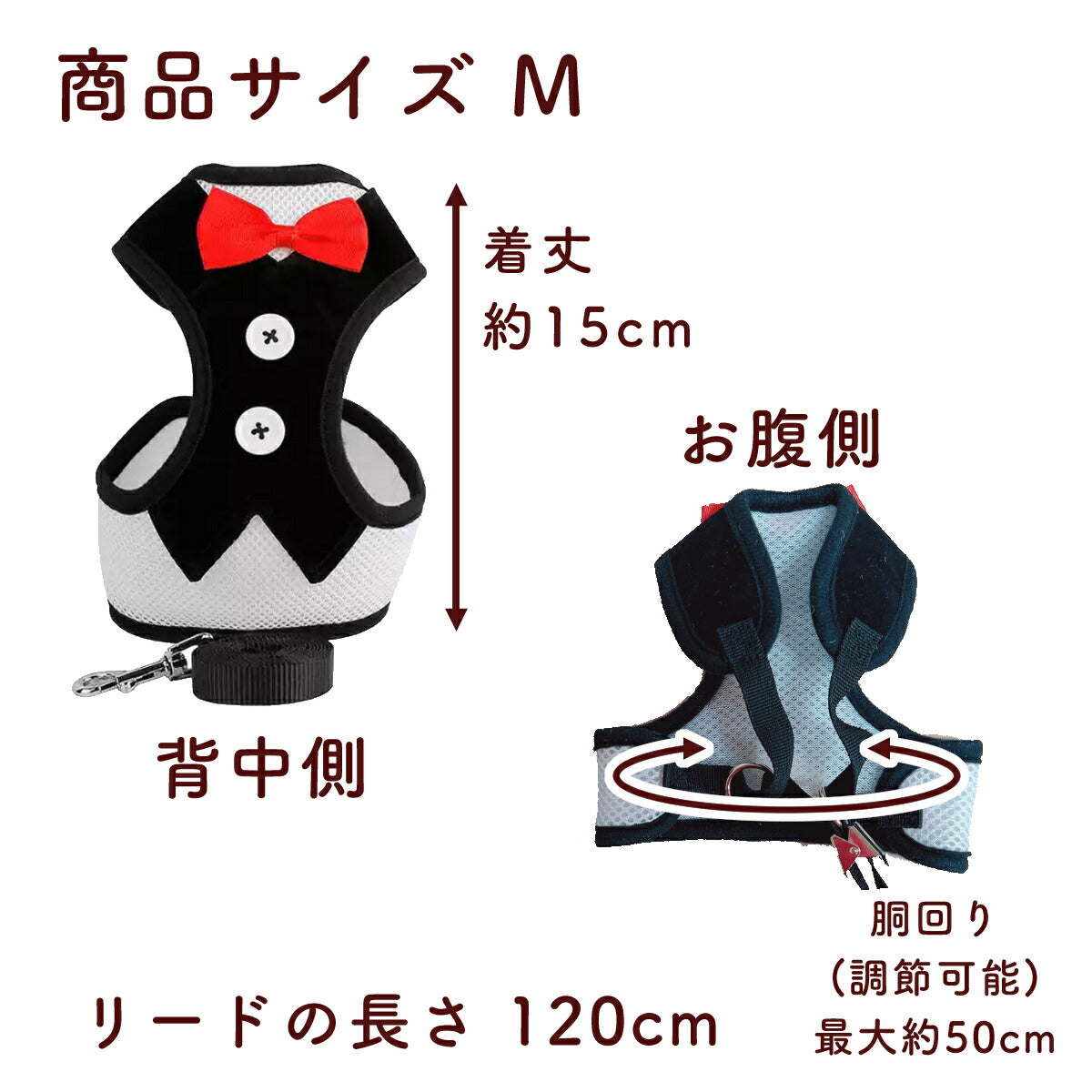 Mサイズの寸法図。着丈約15cm、胴回り調節可能で最大約50cm、リードの長さ120cmを背中側とお腹側の写真で表記