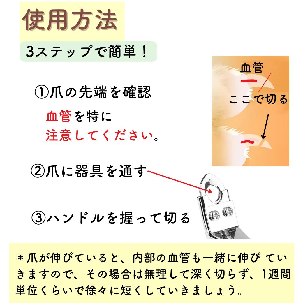 使用方法を3ステップで説明。①血管に注意しながら爪の先端を確認②爪に器具を通す③ハンドルを握って切る。爪が伸びている場合は1週間単位で徐々に短くする図解付き