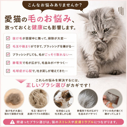 抜け毛の散乱・毛玉・毛球症の吐き戻し・静電気によるパサつき・粗悪なブラシの痛みなど、猫の毛の悩み5つを写真付きで提起する導入カット