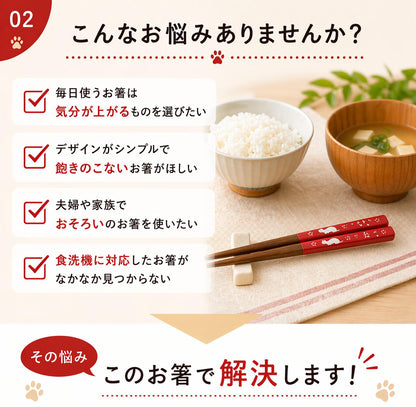 悩み提起カット。「気分が上がる箸を選びたい」「飽きのこないシンプルなデザインがいい」「夫婦や家族でおそろいで使いたい」「食洗機対応の箸が見つからない」の4項目チェックリストと「その悩みこの箸で解決します！」の文言