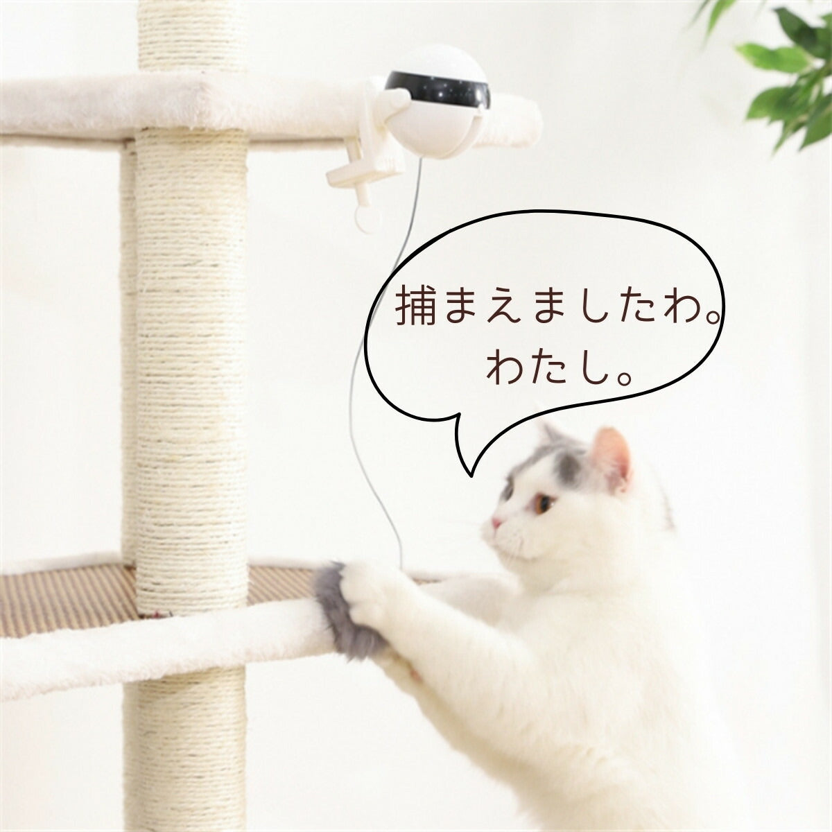 キャットタワーの支柱にクリップで取り付けた様子。白猫が「捕まえましたわ。わたし。」というセリフ付きで毛玉に前足をかけている