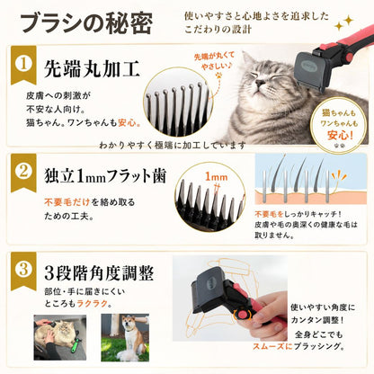ブラシの秘密を3項目で図解。①先端丸加工で皮膚への刺激を抑える拡大写真、②独立1mmフラット歯が不要毛だけを絡め取る断面図、③3段階角度調整で全身にラクラク使える様子