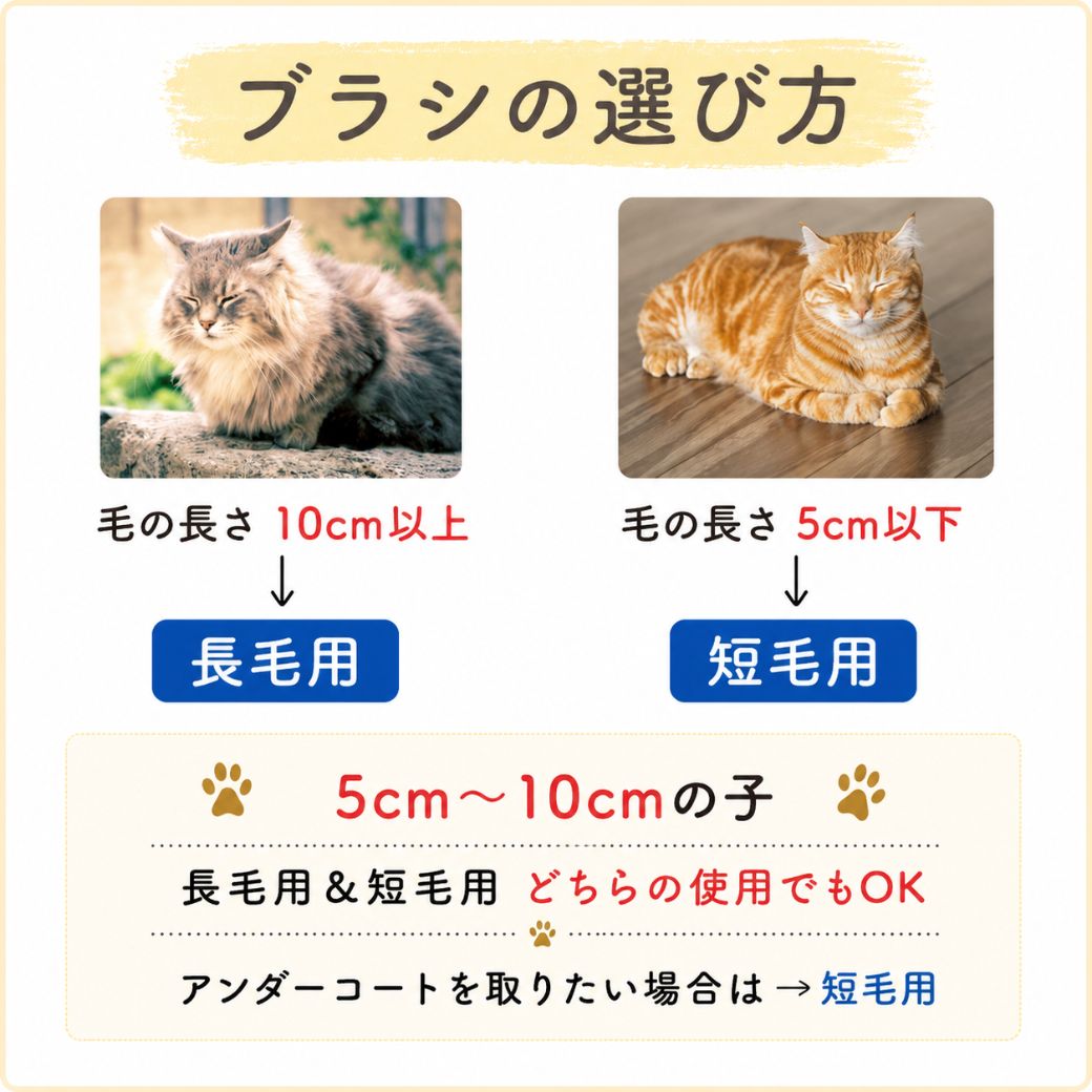 ブラシの選び方の図。毛の長さ10cm以上の長毛猫は長毛用、5cm以下の短毛猫は短毛用へ矢印で案内。5〜10cmはどちらでも使用可、アンダーコートを取りたい場合は短毛用がおすすめと記載