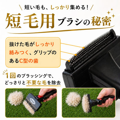 短毛用ブラシの秘密。抜けた毛がしっかり絡みつくC型の歯の拡大写真と、1回のブラッシングで大量に集まった抜け毛の実演写真2枚