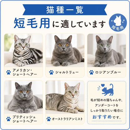 短毛用に適した猫種一覧。アメリカンショートヘア・シャルトリュー・ロシアンブルー・ブリティッシュショートヘア・オーストラリアンミストの写真と、毛が短めでアンダーコートを取りたい猫におすすめの案内