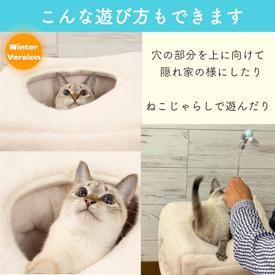 「こんな遊び方もできます」。穴を上に向けて隠れ家にする猫や、ねこじゃらしで遊ぶ猫の写真4枚(Winter Version)