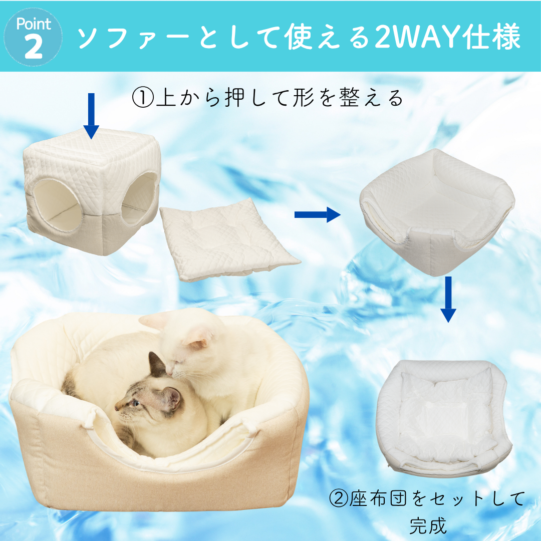 Point2「ソファーとして使える2WAY仕様」。①上から押して形を整える②座布団をセットして完成の手順と、白猫2匹がソファー型で寄り添う写真