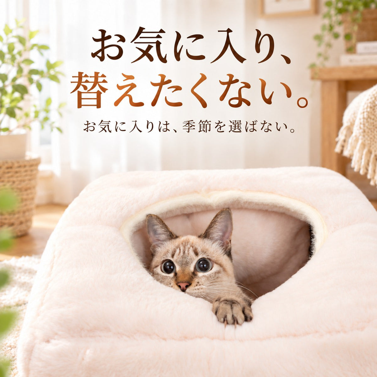 お気に入りは季節を選ばない。冬用ハウスの入り口から顔を覗かせ前足をかけるキジトラ猫のアップ