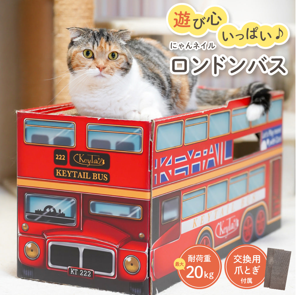まねきねこ MANEKINEKO 招き猫 高崎 あすつく対応 : plywood