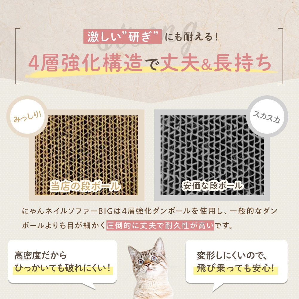 「4層強化構造で丈夫＆長持ち」。当店の段ボール（みっしり）と安価な段ボール（スカスカ）の断面を比較し、目が細かく耐久性が高いと説明。子猫も見上げる写真