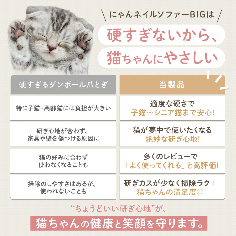 「硬すぎないから、猫ちゃんにやさしい」硬すぎるダンボール爪とぎと当製品を4項目で比較する表。適度な硬さ・絶妙な研ぎ心地・高評価・掃除ラクと記載。前足を上げる子猫