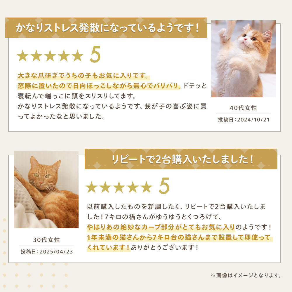 レビュー2件。「かなりストレス発散になっているようです」（40代女性、前足を上げる子猫）と「リピートで2台購入いたしました」（30代女性、7kgの猫が使う様子）の体験談