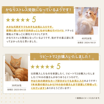レビュー2件。「かなりストレス発散になっているようです」（40代女性、前足を上げる子猫）と「リピートで2台購入いたしました」（30代女性、7kgの猫が使う様子）の体験談