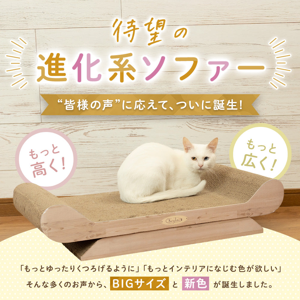 「待望の進化系ソファー」の見出し。もっと高く・もっと広くのふきだし付きで、白猫が座るソファ型爪とぎを紹介。お客様の声からBIGサイズと新色が誕生した経緯を説明