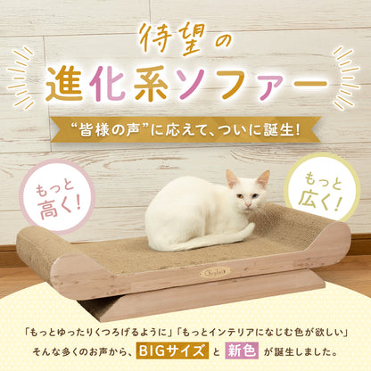 「待望の進化系ソファー」の見出し。もっと高く・もっと広くのふきだし付きで、白猫が座るソファ型爪とぎを紹介。お客様の声からBIGサイズと新色が誕生した経緯を説明