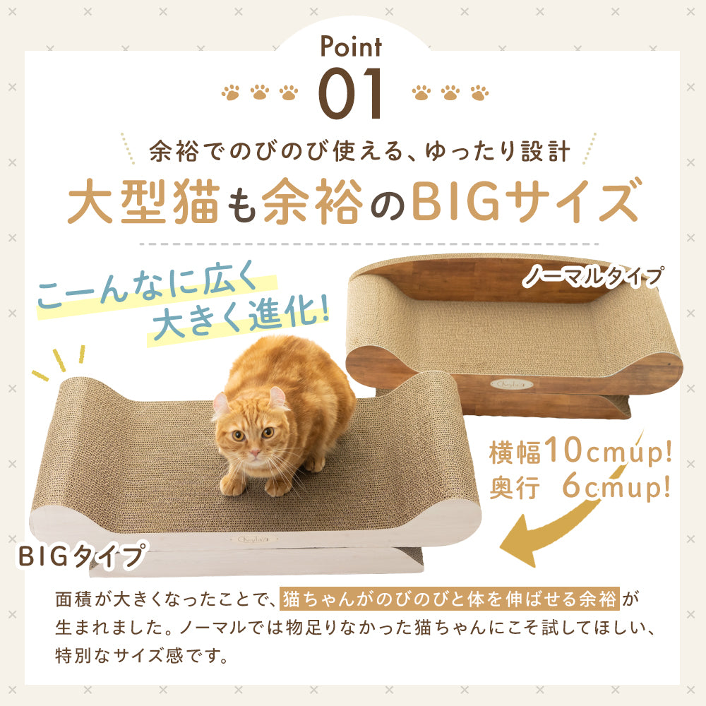 Point01「大型猫も余裕のBIGサイズ」。ノーマルタイプと比べて横幅10cmアップ・奥行6cmアップと表記し、茶トラ猫が広くなったBIGタイプに乗る様子
