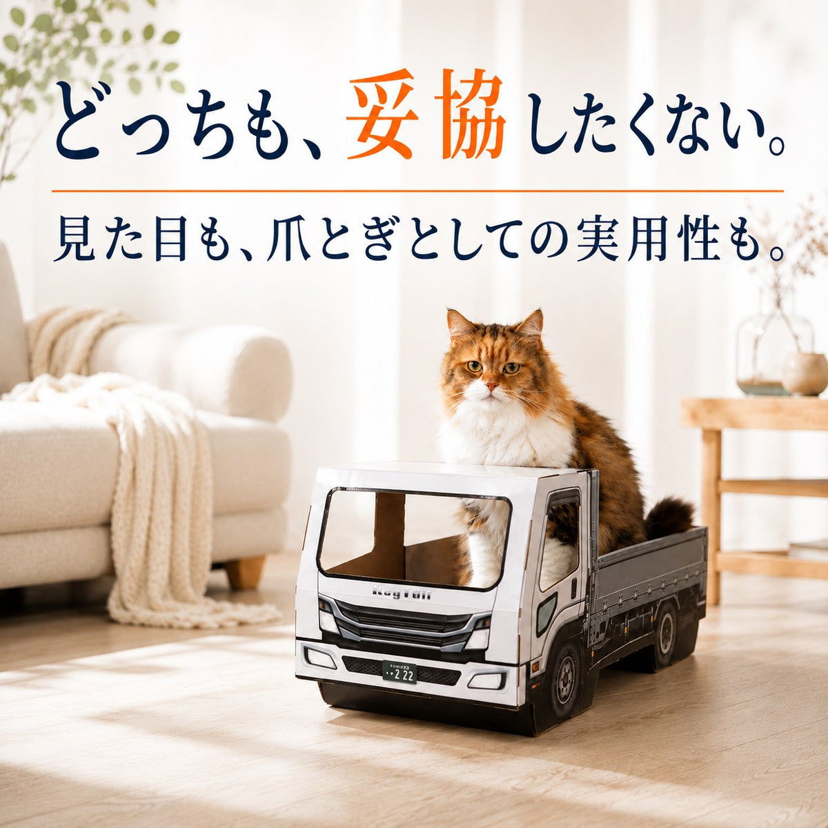 猫が乗って完成する爪とぎ｜にゃんネイル トラック 荷台で研いで、運転席でお昼寝。