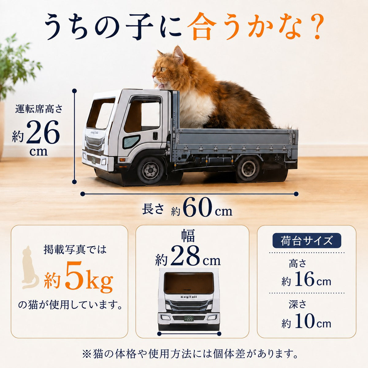 猫が乗って完成する爪とぎ｜にゃんネイル トラック 荷台で研いで、運転席でお昼寝。