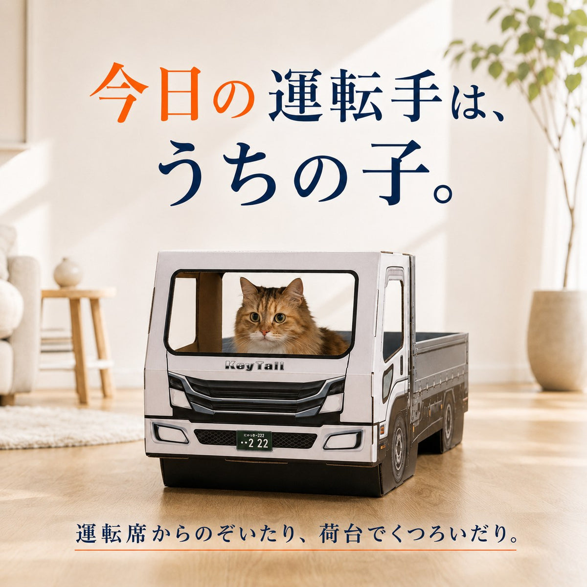 猫が乗って完成する爪とぎ｜にゃんネイル トラック 荷台で研いで、運転席でお昼寝。
