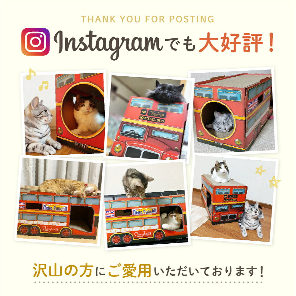 Instagram投稿写真6枚のコラージュ。ロンドンバスの穴から顔を出したり上で寛いだりする猫たちの様子。「Instagramでも大好評」の見出し