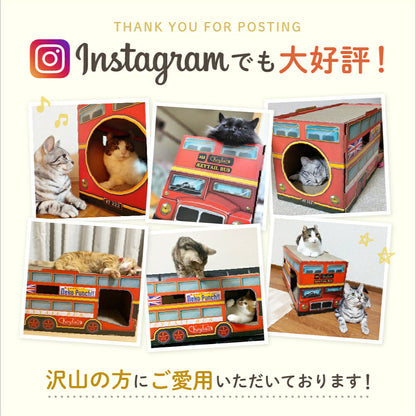 Instagram投稿写真6枚のコラージュ。ロンドンバスの穴から顔を出したり上で寛いだりする猫たちの様子。「Instagramでも大好評」の見出し
