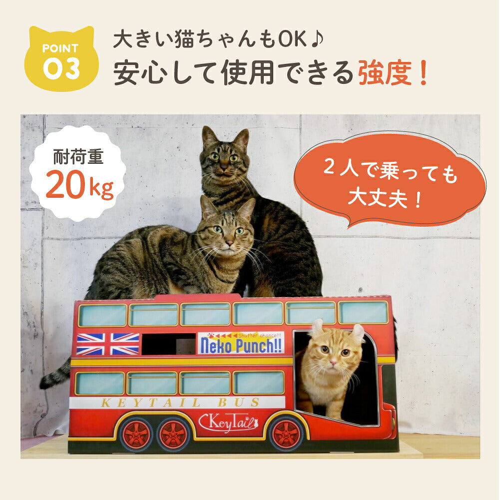 ポイント3、安心して使える強度。耐荷重20kgの表記とともに2匹の猫が同時に上に乗り、車内からもう1匹が顔を出す写真。2人で乗っても大丈夫のコメント