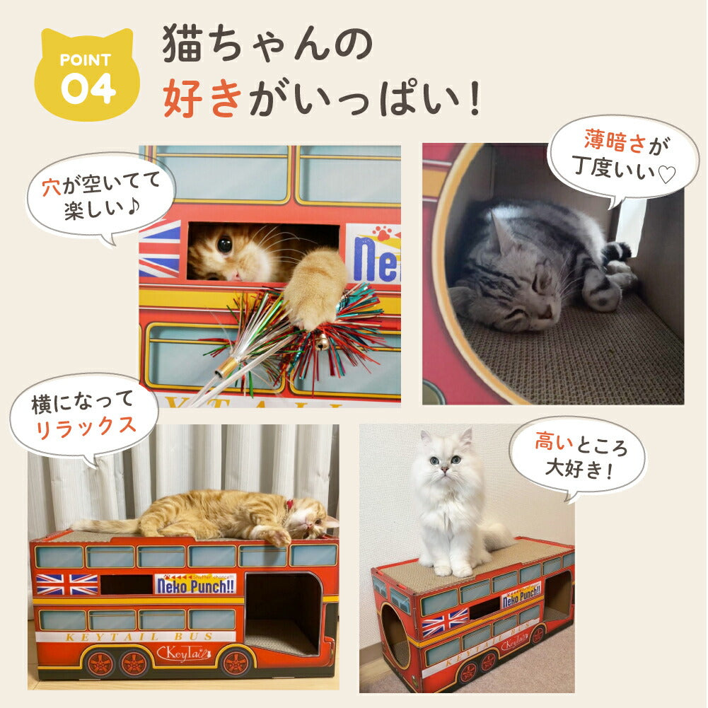 ポイント4、猫の好きがいっぱい。穴から顔を出す猫・薄暗い車内で眠る猫・上で横になる猫・高い場所に座る白猫の4枚の写真とコメント
