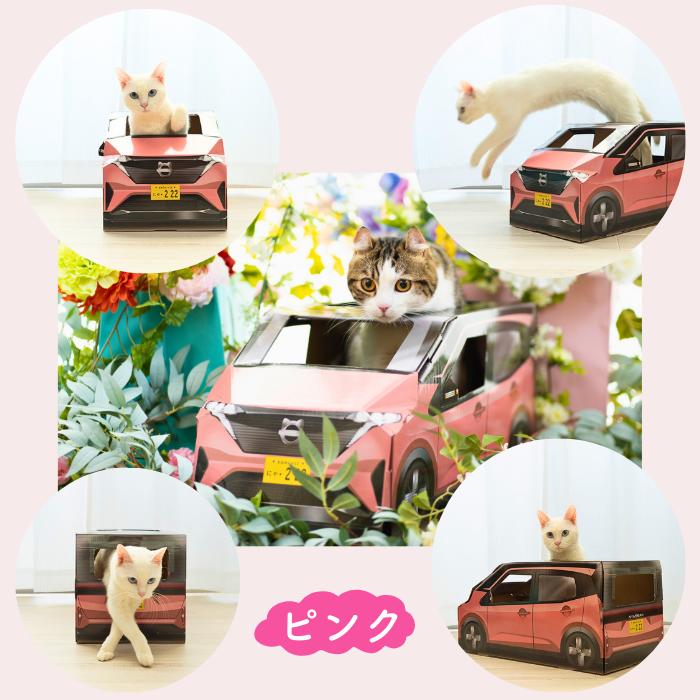 ピンクカラーの使用イメージ集合写真。白猫やキジトラ猫がピンクの車型ハウスに乗ったり顔を出したりする様子を花に囲まれた背景で掲載
