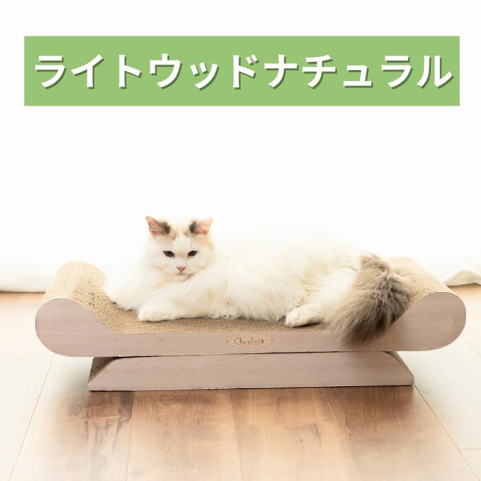 「ライトウッドナチュラル」カラーを別アングルで紹介。ソファ型爪とぎの上でくつろぐ白い長毛猫