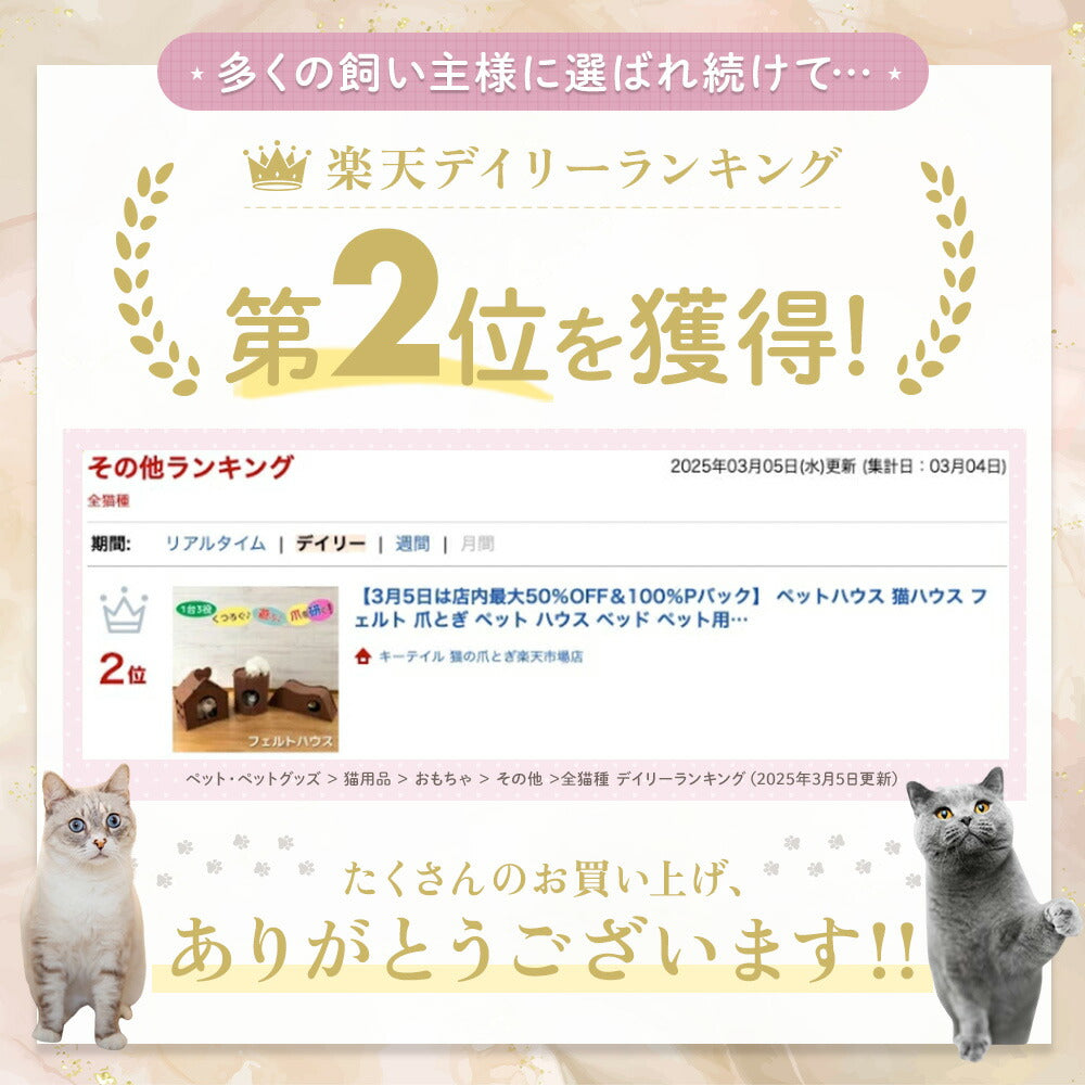 楽天デイリーランキングその他部門で第2位を獲得したことを示すランキング画面のスクリーンショットと、たくさんのお買い上げありがとうございますの感謝メッセージ、2匹の猫の写真