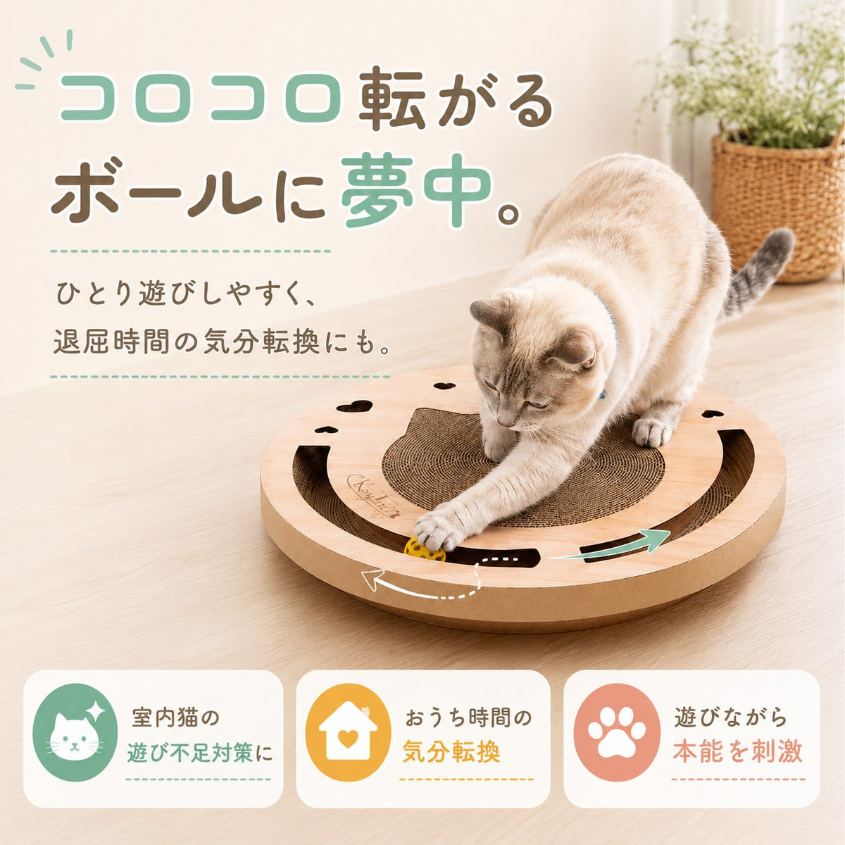 「コロコロ転がるボールに夢中」の見出し。内蔵ボールで一人遊びする猫の写真。室内猫の遊び不足対策や気分転換になるとの説明