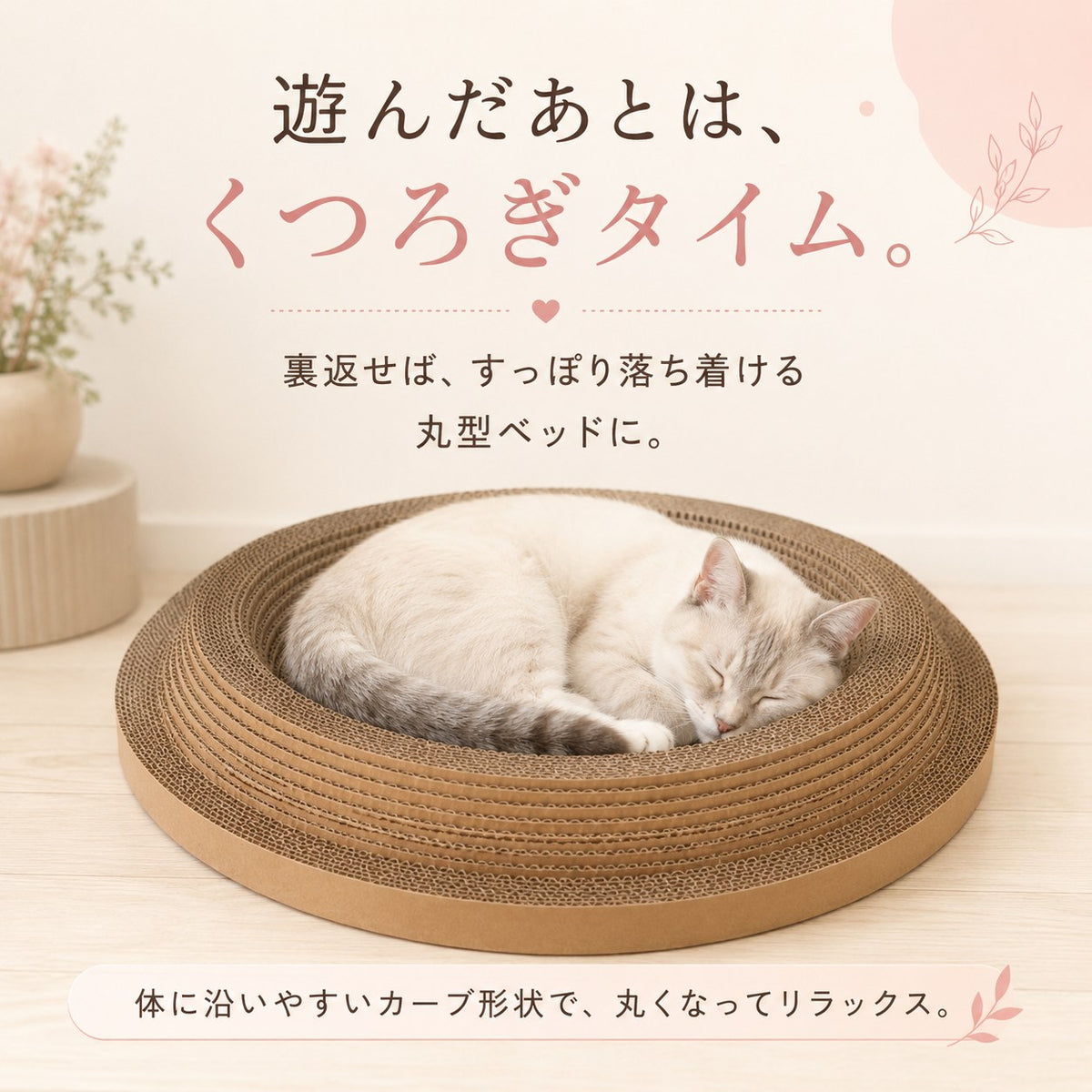 「遊んだあとはくつろぎタイム。裏返せばすっぽり落ち着ける丸型ベッドに」の見出し。裏返した面で丸くなって眠る猫の写真