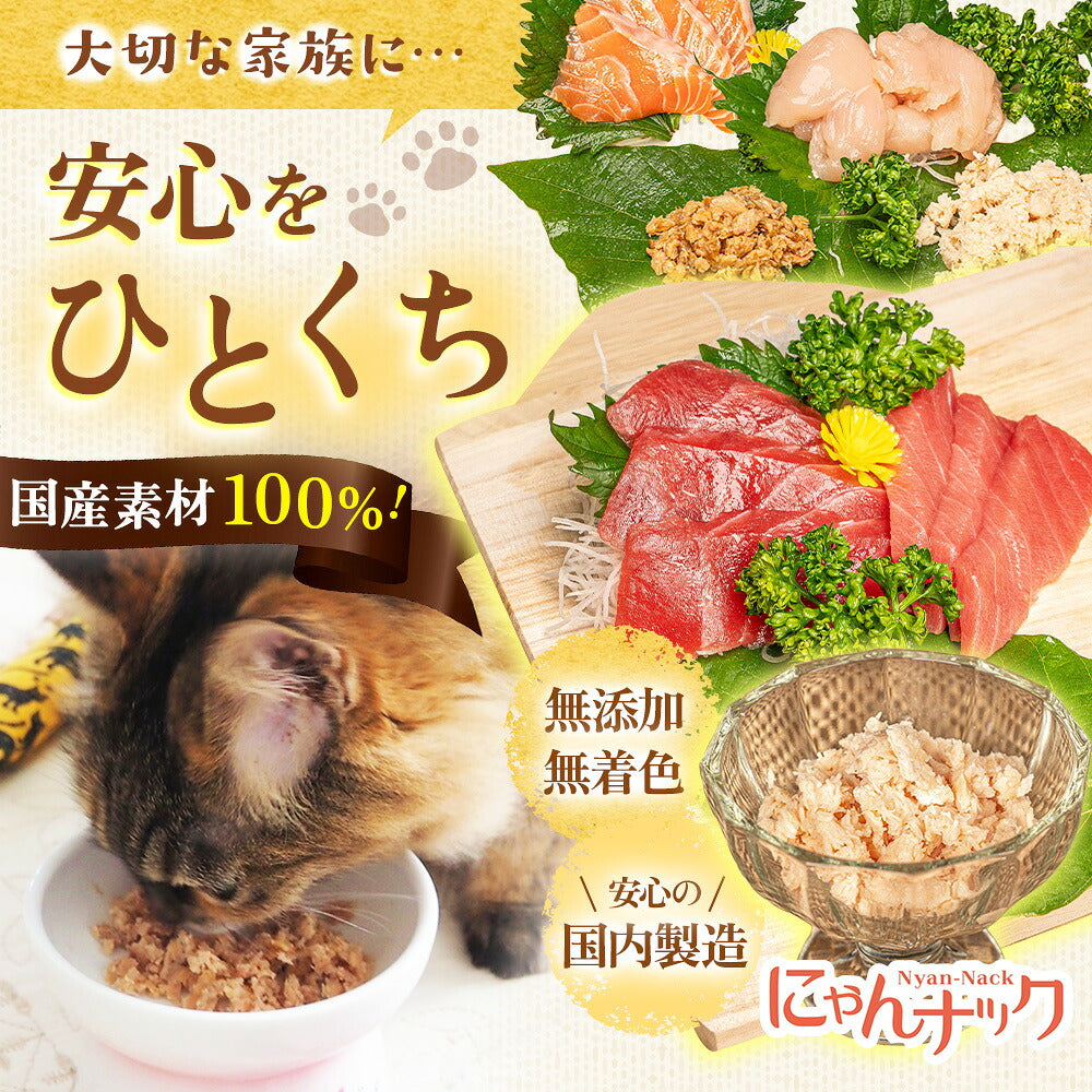 見出し「大切な家族に…安心をひとくち」に、まぐろ・サーモン・ささみの原料写真とにゃんナックのロゴを添えたバリエーション訴求カット