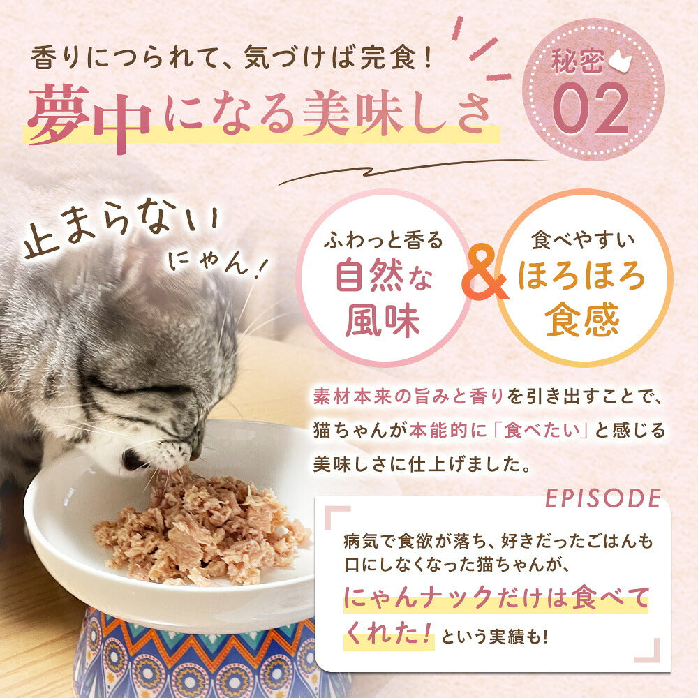 秘密02「夢中になる美味しさ」。器から食べ続ける猫と「止まらないにゃん!」の文字。自然な風味とほろほろ食感を紹介、食欲不振でも完食したという体験談を掲載