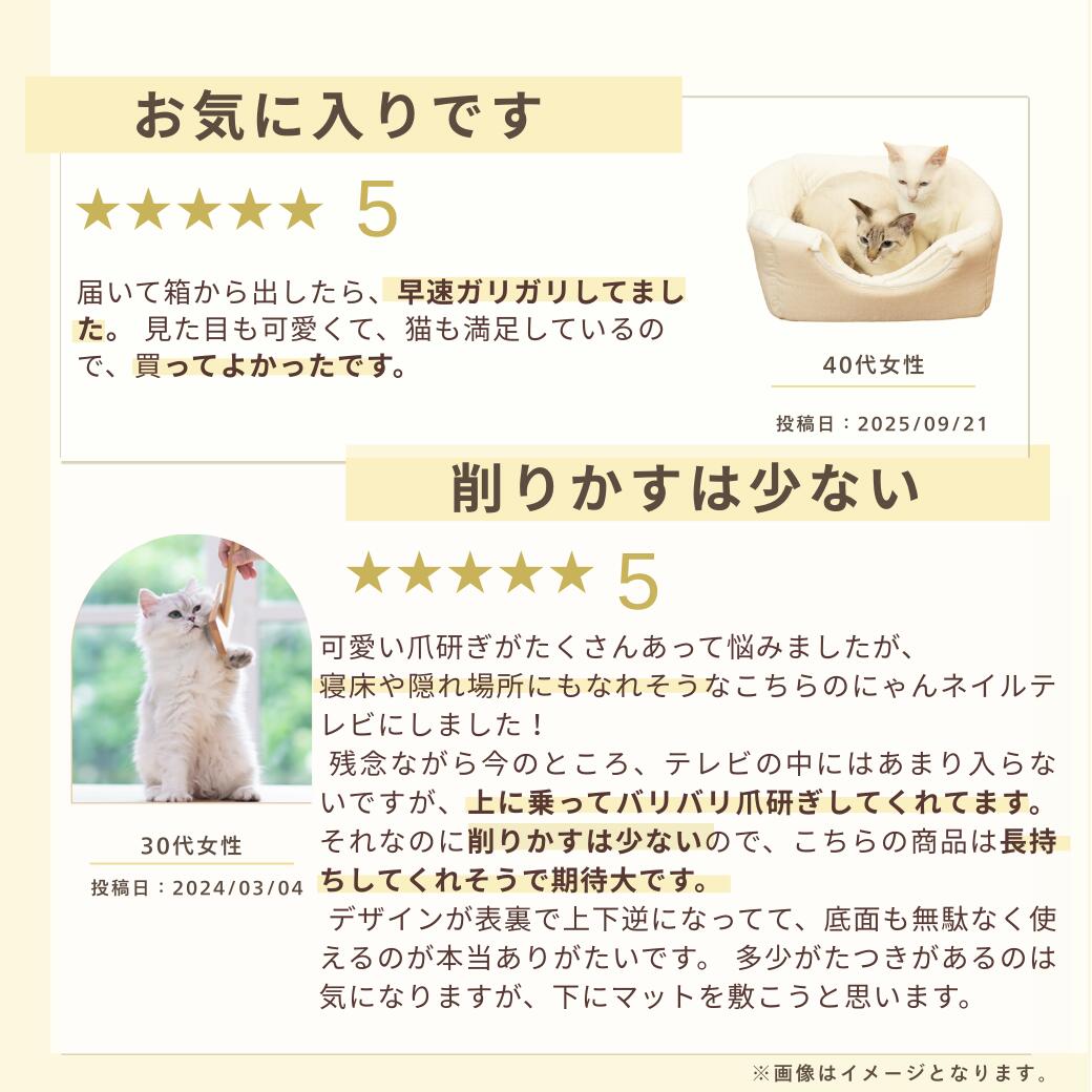 購入者レビュー2件。40代女性「届いてすぐガリガリ、見た目も可愛い」、30代女性「上でバリバリ爪研ぎ、削りかすは少なく裏表で長く使える」の星5評価