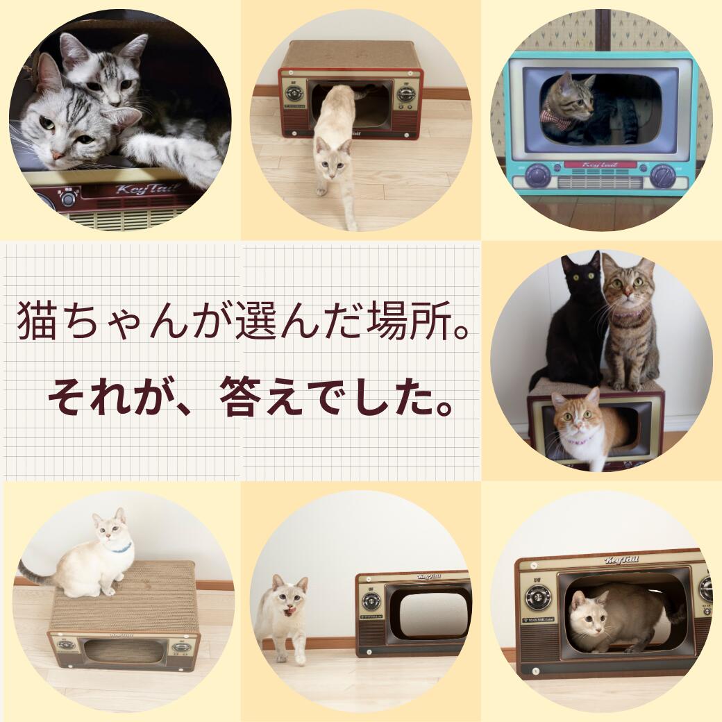 「その悩み、すべて解決」の見出し。テレビ型爪とぎ2色の写真とともに、くつろぎ空間・爪とぎと遊び場の一体化・和室洋室問わずインテリアに馴染む点をチェック項目で紹介