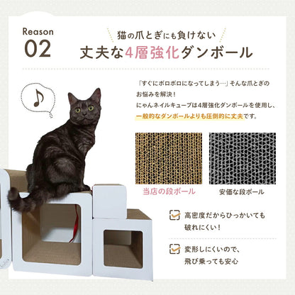 Reason02丈夫な4層強化ダンボール。当店の段ボールと安価な段ボールの拡大比較写真で高密度で破れにくく変形しにくいことを説明。キューブの上に座る猫