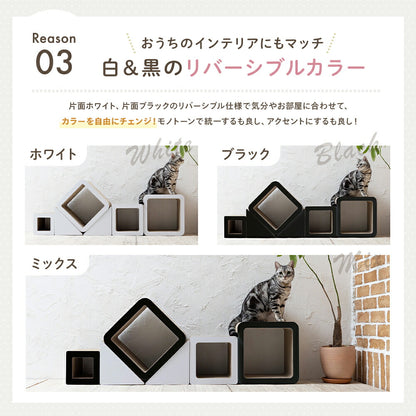 Reason03白と黒のリバーシブルカラー。片面ホワイト・片面ブラックで気分や部屋に合わせて変えられ、ホワイト・ブラック・ミックスの3パターンをそれぞれ猫と一緒に撮影した写真で比較