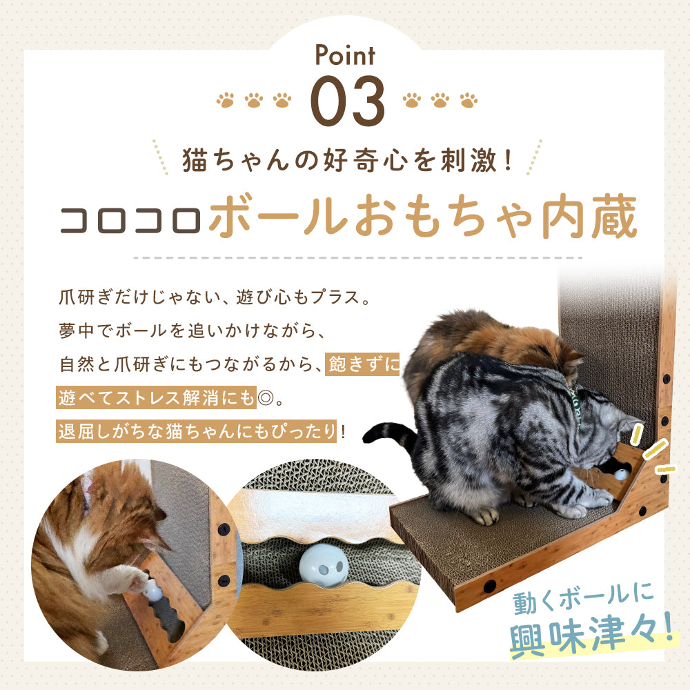 にゃんネイルウォール