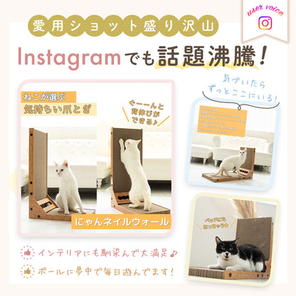 にゃんネイルウォール