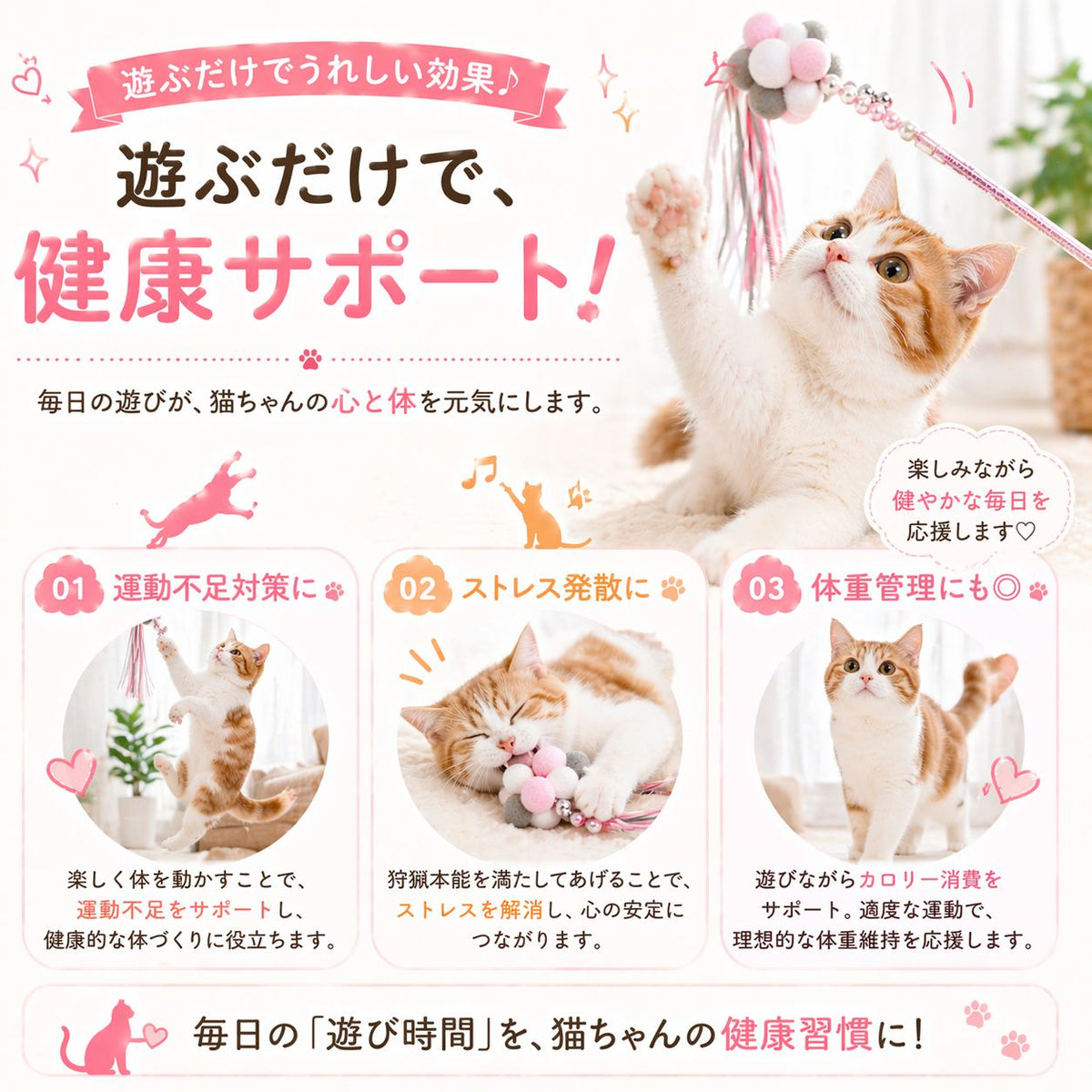 「遊ぶだけで健康サポート」の見出し。01運動不足対策、02ストレス発散、03体重管理の3効果を猫の写真とともに紹介
