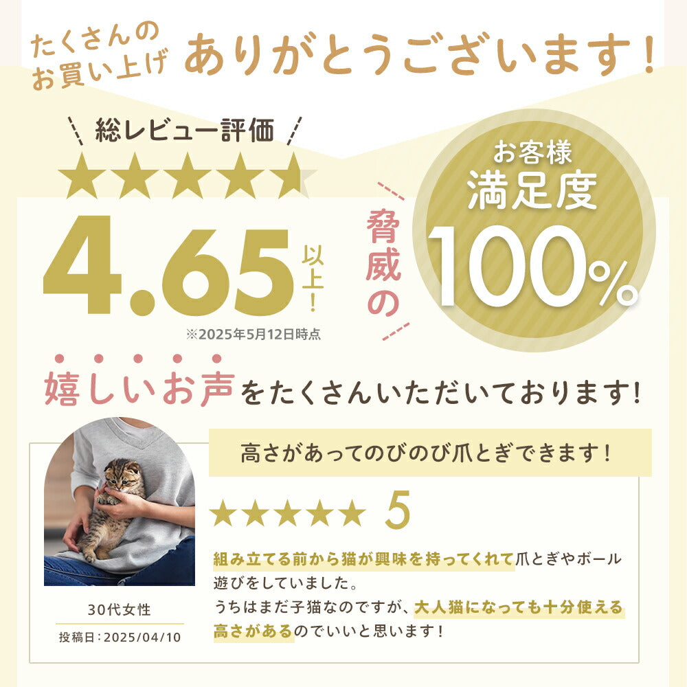 総評価の星5つと「お客様満足度」を紹介し、利用者の声を掲載。子猫を抱く女性の写真とともに、大人猫になっても十分使える高さがあるという感想を紹介。