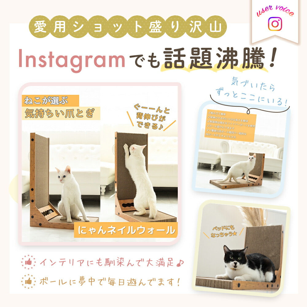 Instagramで話題になっている愛用ショットを紹介。座る白猫、伸びをして研ぐ白猫、ベッド代わりに寝る黒白猫の写真を並べ、インテリアに馴染むという声を掲載。