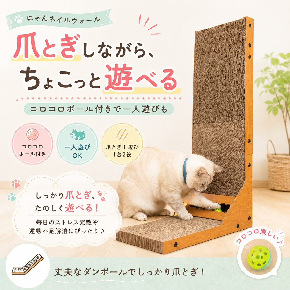 爪とぎしながらちょこっと遊べる紹介。コロコロボール付きで一人遊びもOK。段差部分で緑のボールに前脚で触れる猫。