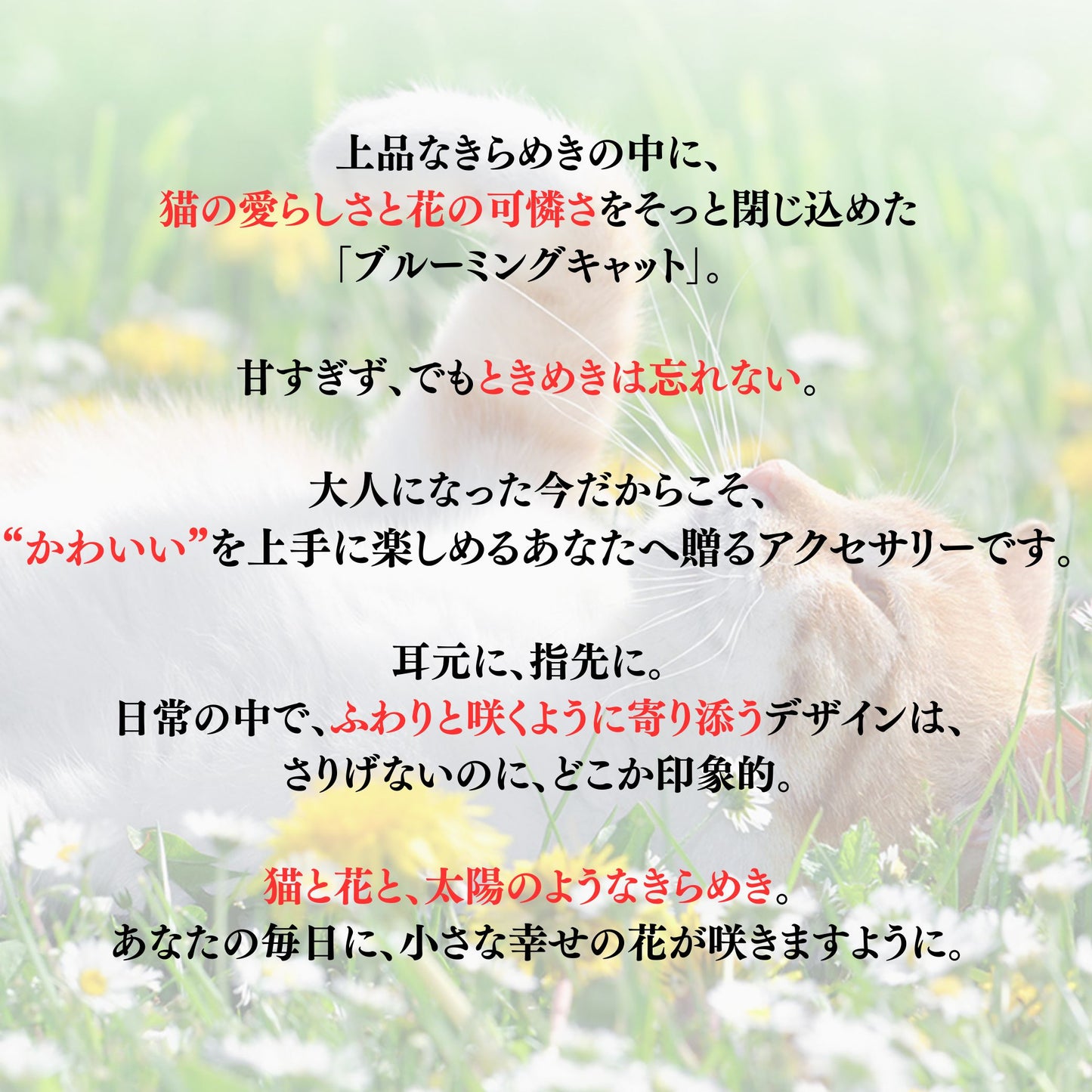 花畑に寝そべる猫を背景にしたブランドコピー画像。「上品なきらめきの中に、猫の愛らしさと花の可憐さをそっと閉じ込めた『ブルーミングキャット』。甘すぎず、でもときめきは忘れない。耳元に、指先に、ふわりと咲くように寄り添うデザイン」の文字